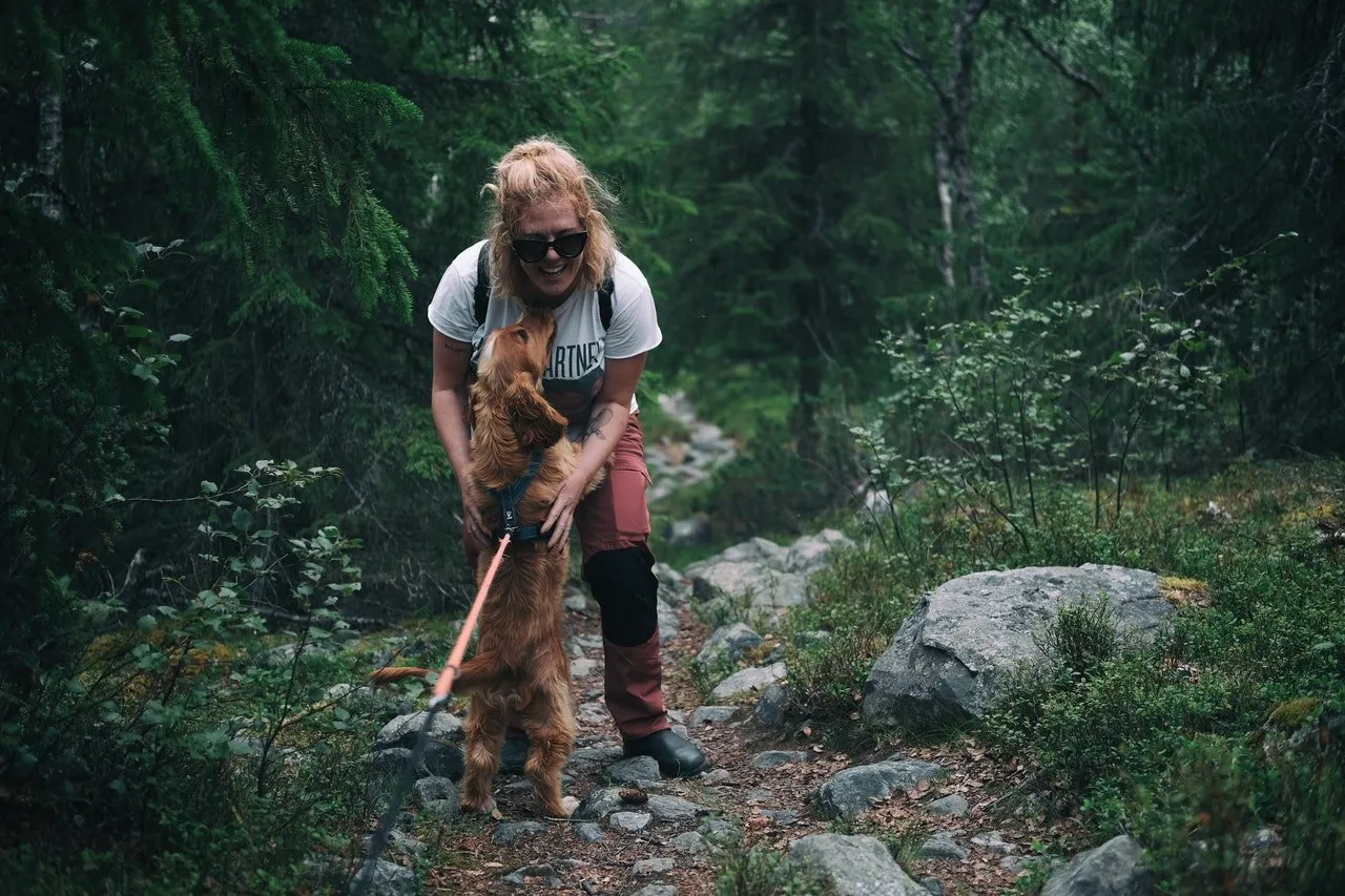 dog on leash in forest with a woman