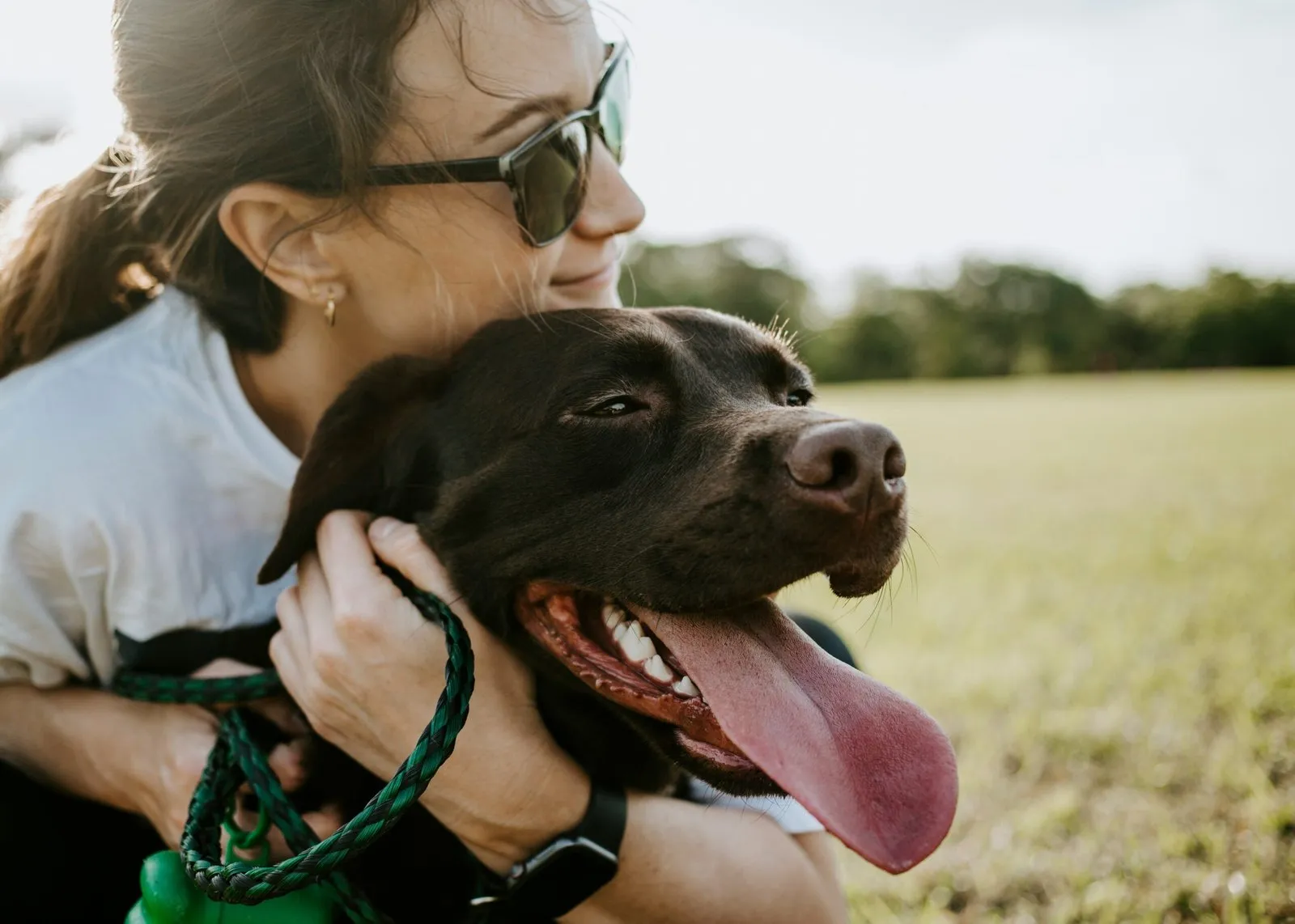 7 Reasons Regular Dental Check-Ups are Vital for Your Pet