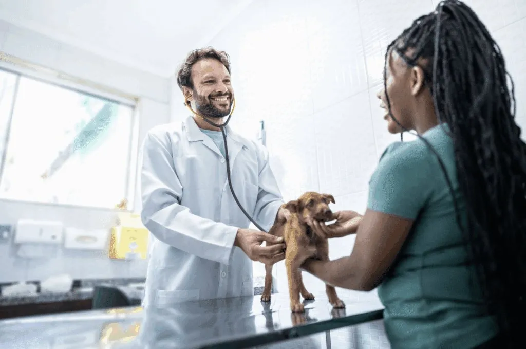 8 Harmful Myths About Neuter & Spay Services That Delay Care
