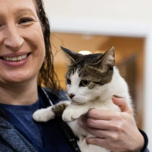 Dr. Keating holding a tabby cat