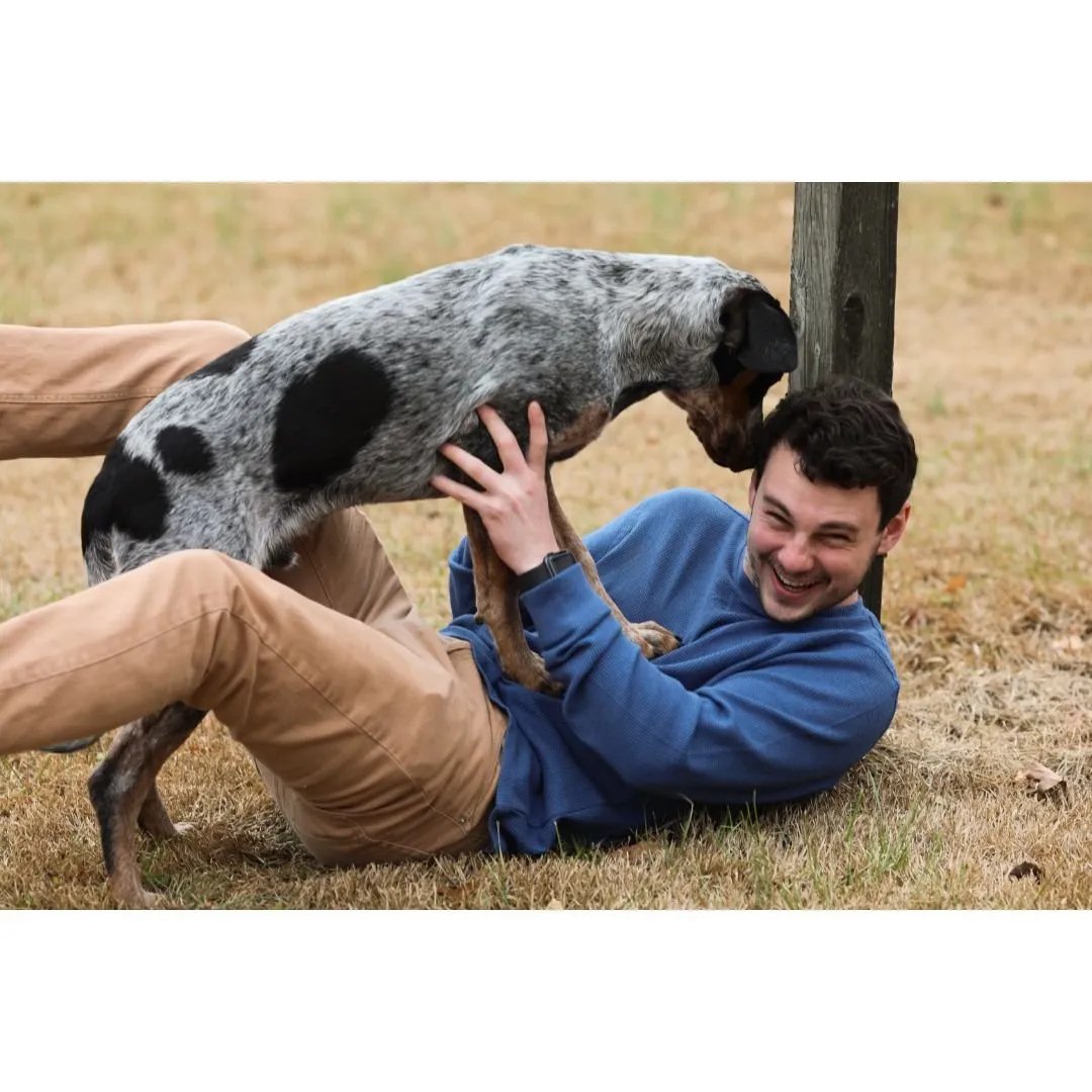 dog playing with a man
