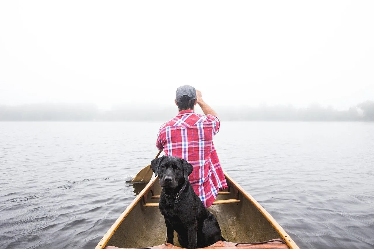 A dog on boat
