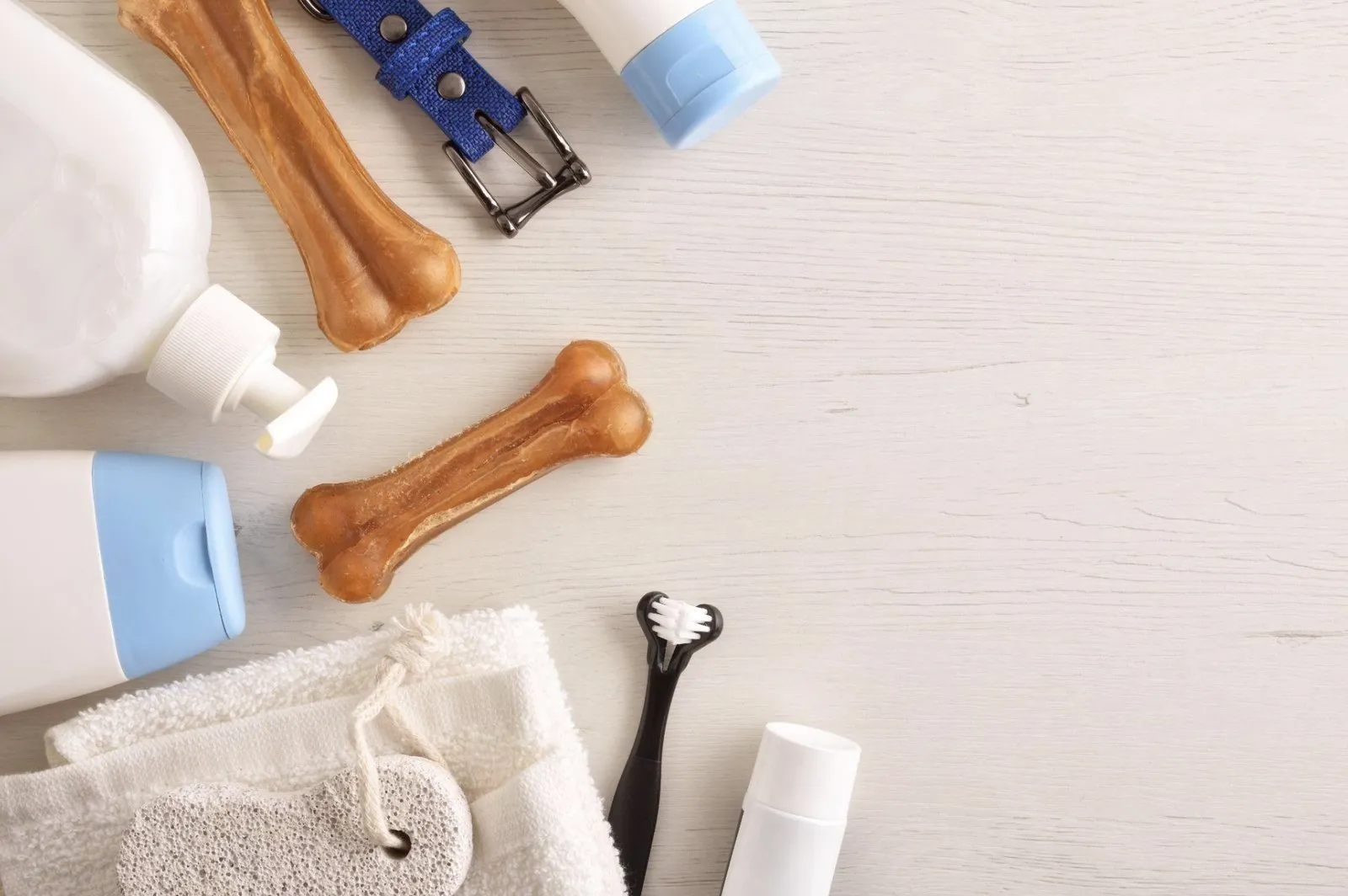 8 Best Vet-Approved Products for Pet Dental Care at Home