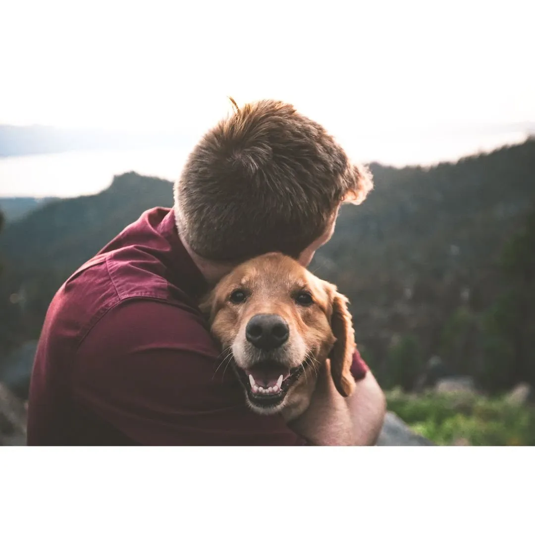 person hugging a dog