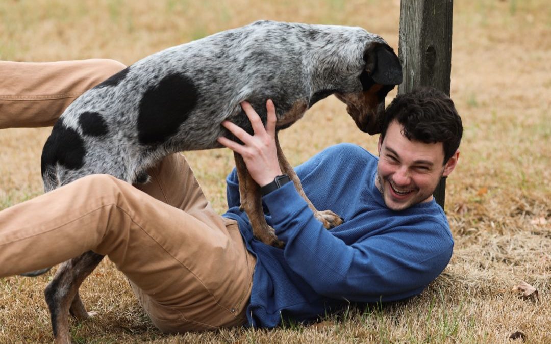 dog playing with a man