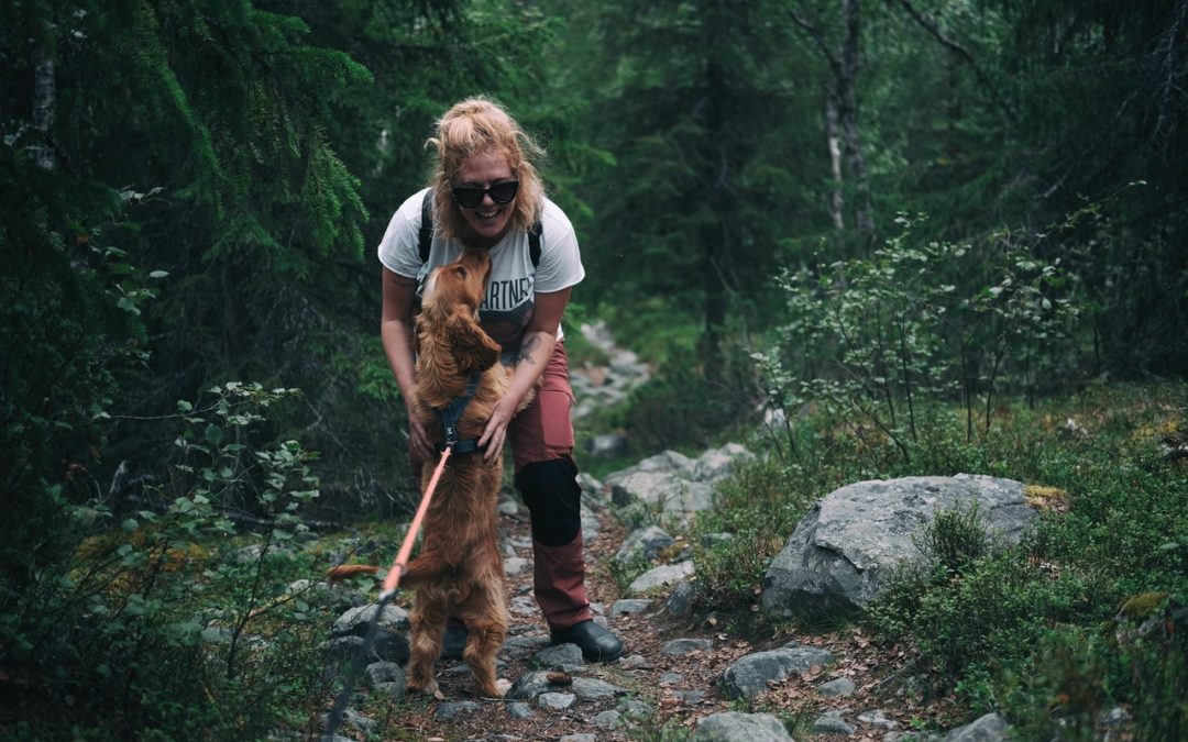 dog on leash in forest with a woman