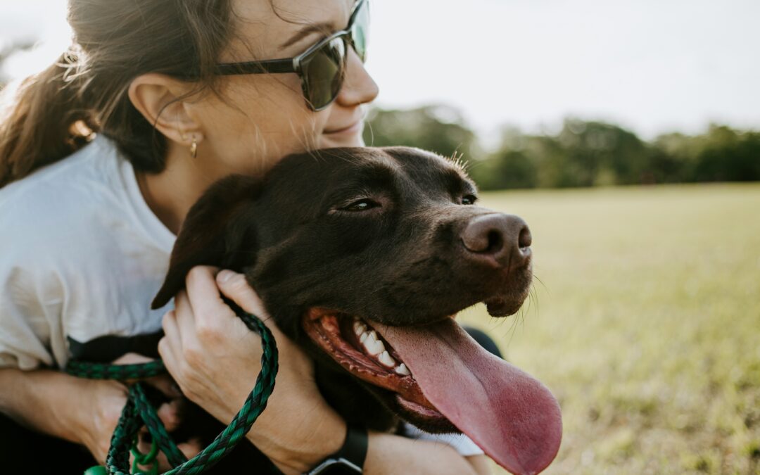 7 Reasons Regular Dental Check-Ups are Vital for Your Pet