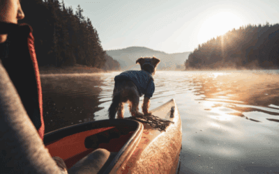 How to Travel with Your Pets: 10 Tips for a Safe Vacation